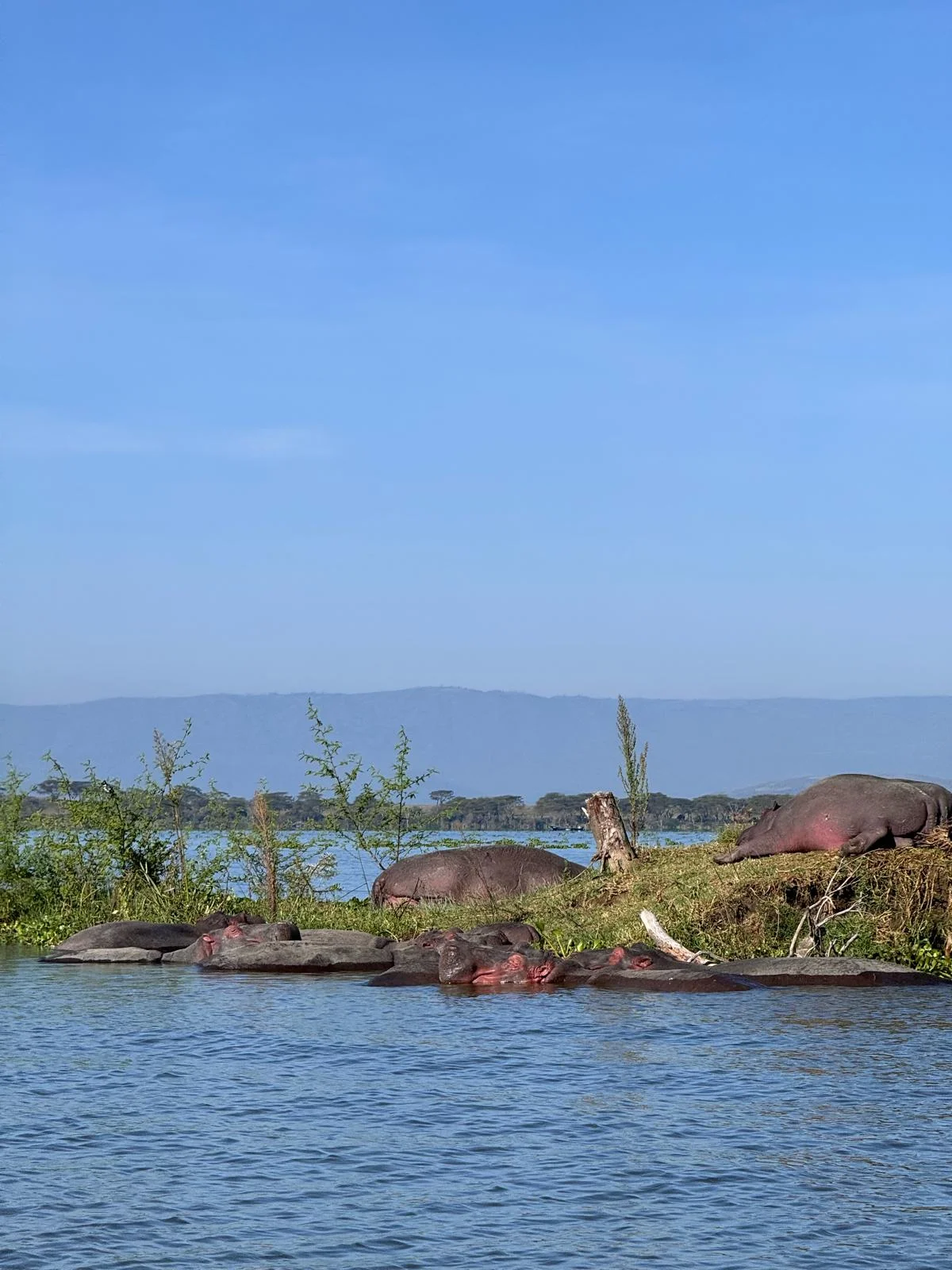 About Duma Tours And Travel Kenya